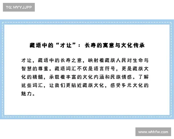 在多元文化交织中感受生命的丰富与美好之道 在多元文化交织中感受生命的丰富与美好之道