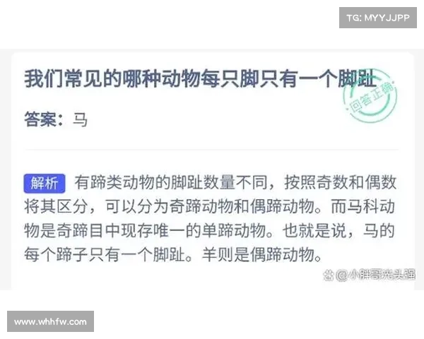 马的脚趾结构与分类详解及其对运动性能的影响分析 马的脚趾结构与分类详解及其对运动性能的影响分析