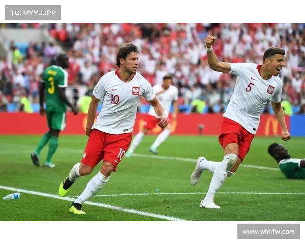 2023法国对阵波兰巅峰对决精彩瞬间全程回顾盛宴激情时刻巨献