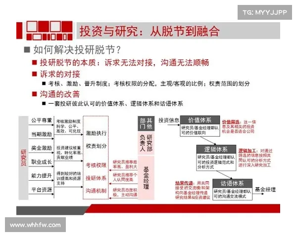 从成长历程全面解读瓦尔迪角色塑造与其多元背景驱动力深度分析研